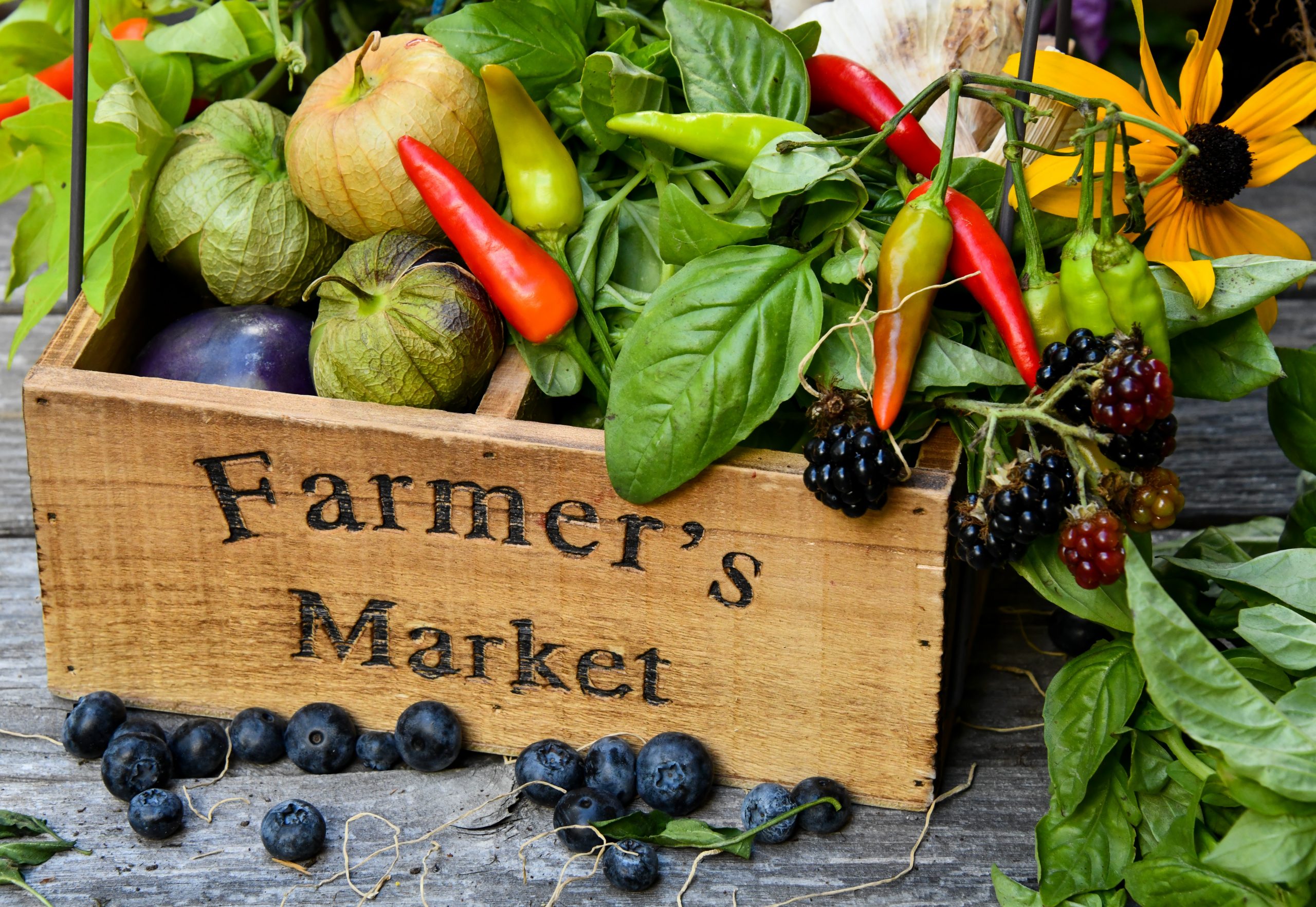 Find Spring Produce and Gourmet Goods at the Columbia Heights Farmers Market